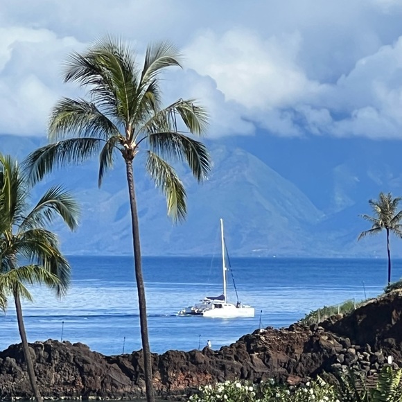 Meet your Posher, Courtnee - Picture 1 of 1